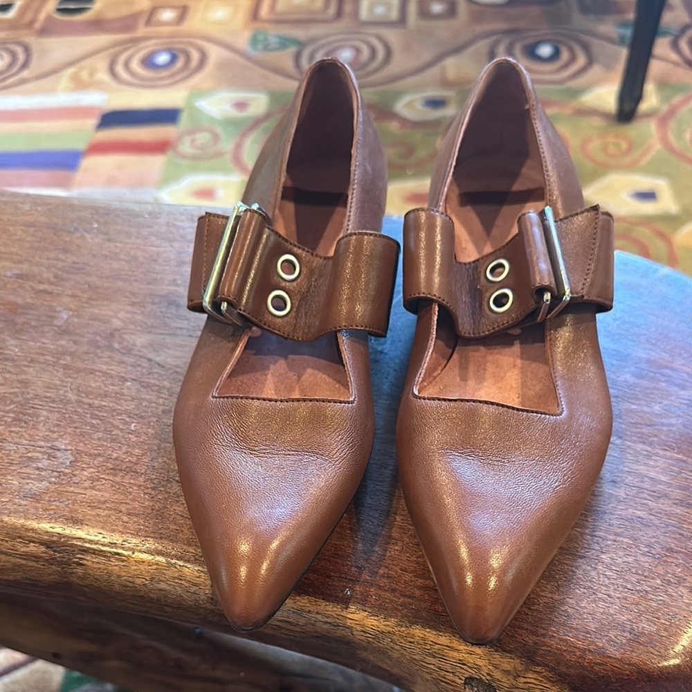 Brown Mary Jane Low Heels with Strap and Buckle
